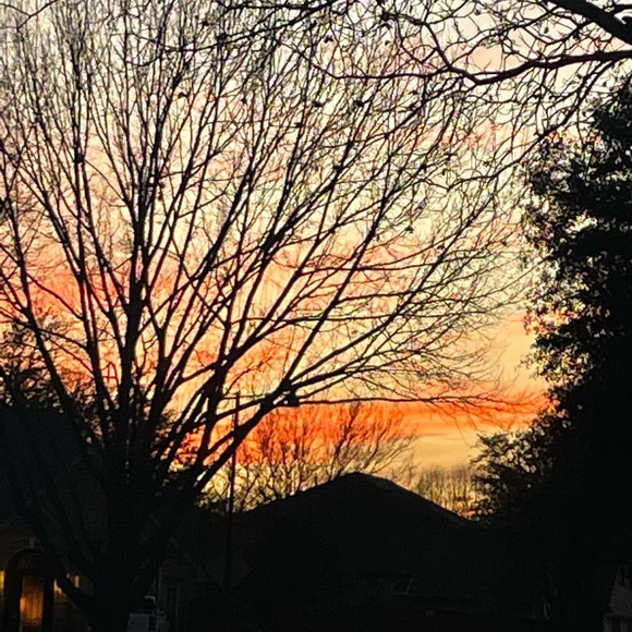 Meet your Posher, Debbie - Picture 10 of 15